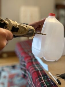 Drilling a hole in a milk jug for winter sowing