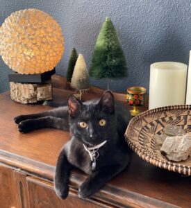 My small black cat lounges on a sideboard with candles, tree decorations, a shallow basket, and a round table lamp