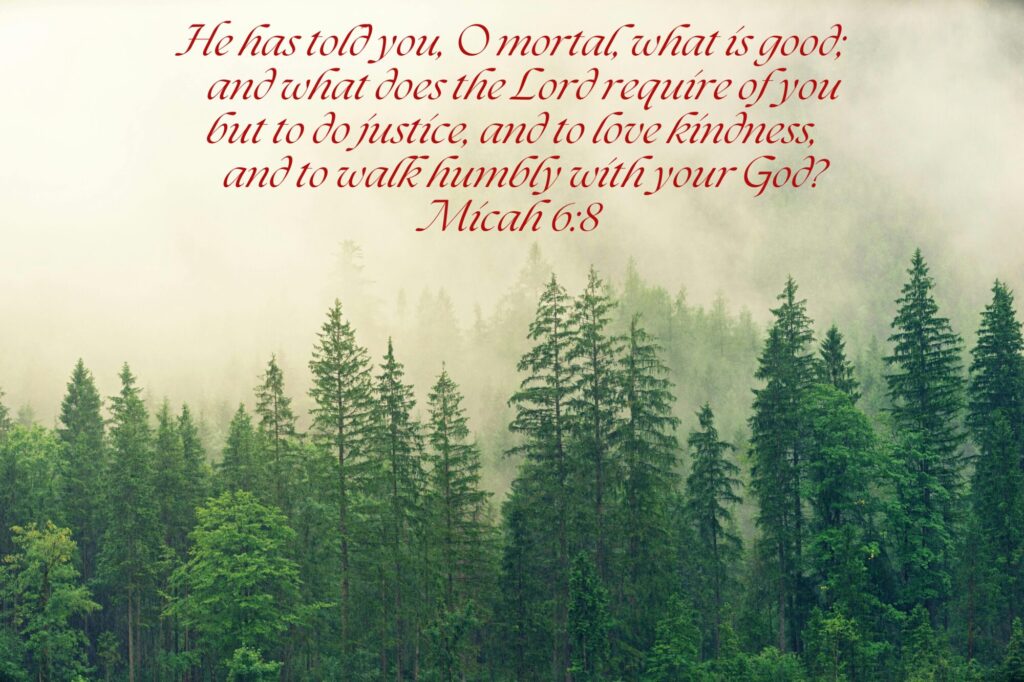 A foggy sky with tall evergreens forms the background to a quote from Micah 6:8.