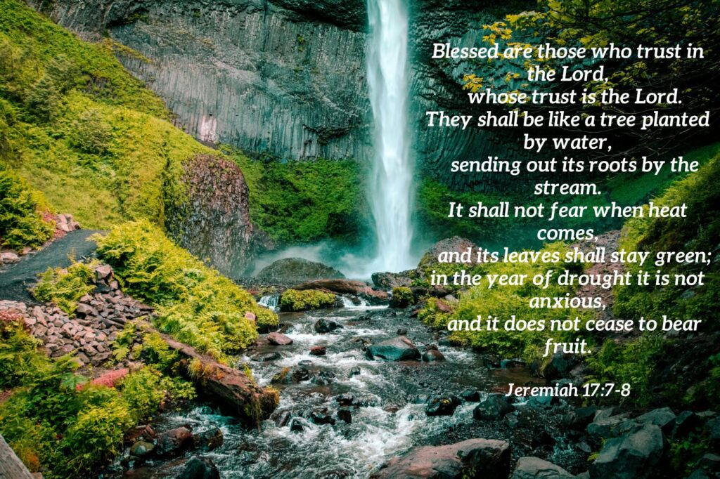 A quote from Jeremiah 17:7-8against a backdrop of a waterfall.