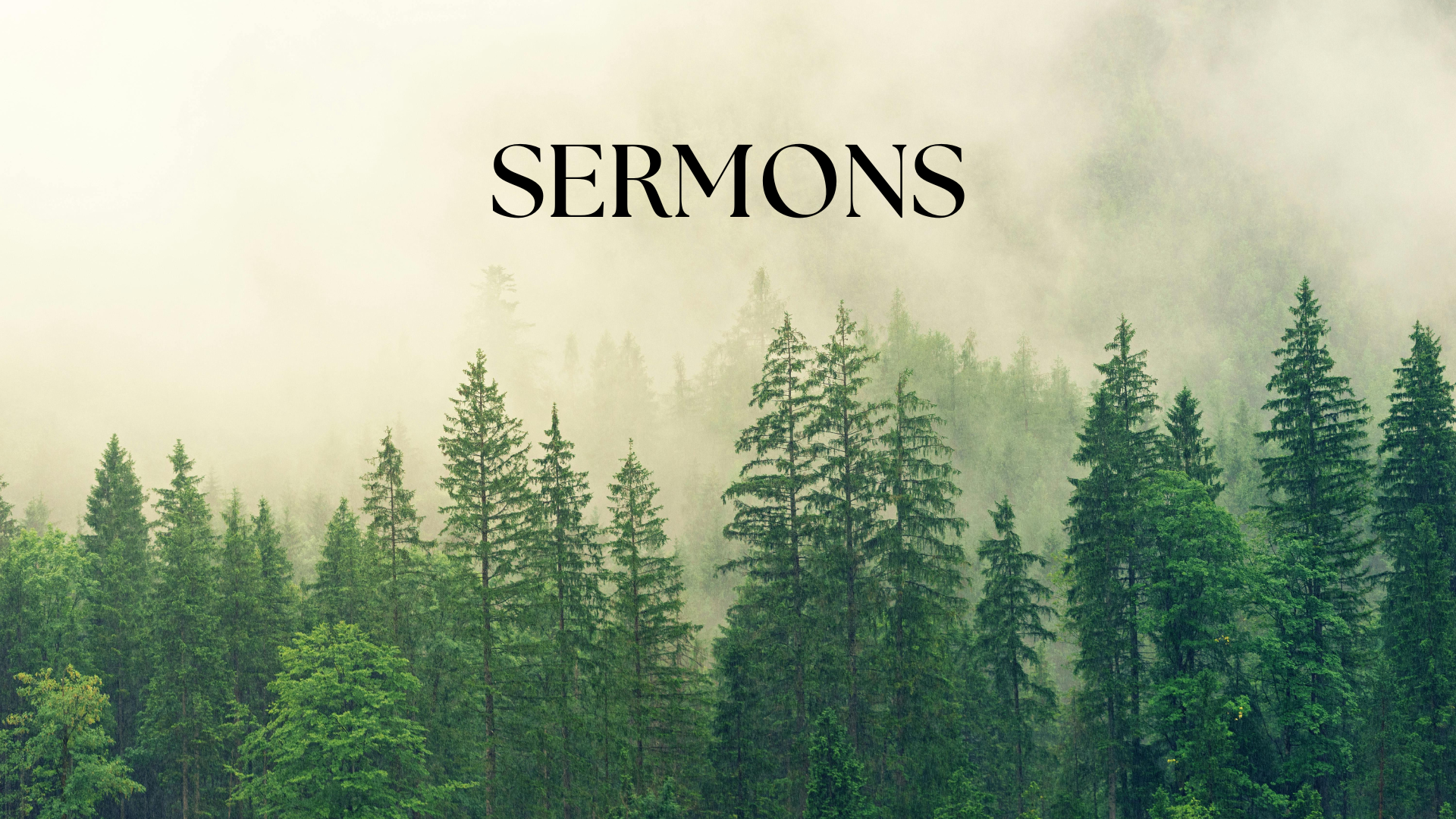 Background scene of a forest of hazy evergreens to the title of the page "sermons".