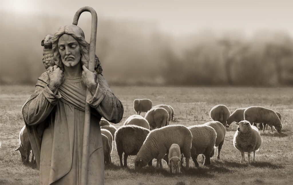 A statue of Jesus as a shepherd stands in the foreground of a herd of sheep in a pasture.