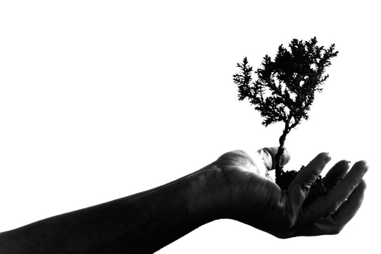 Black and white image of a hand holding a bonsai tree.